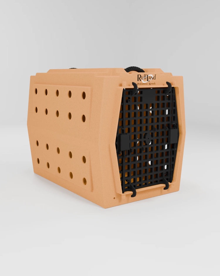 INTERMEDIATE KENNEL